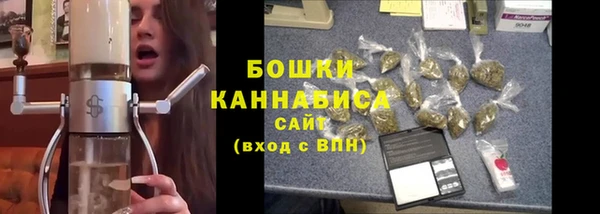 индика Лагань