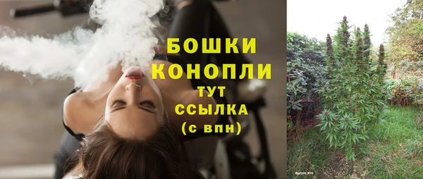 индика Лагань