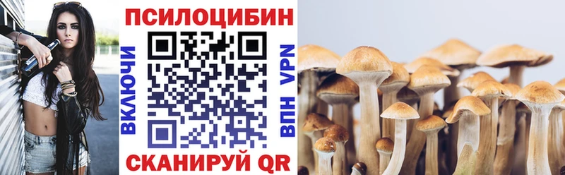 Псилоцибиновые грибы Psilocybe  Советская Гавань 
